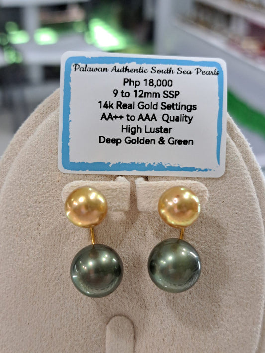 12mm Deep Golden & Green South Sea Pearls Earrings in 14K Gold