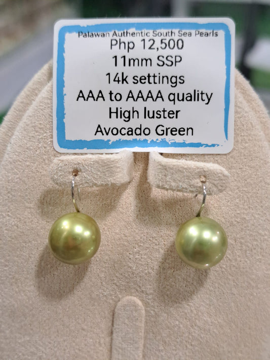 11mm Avocado Green South Sea Pearls Earrings in 14K Gold