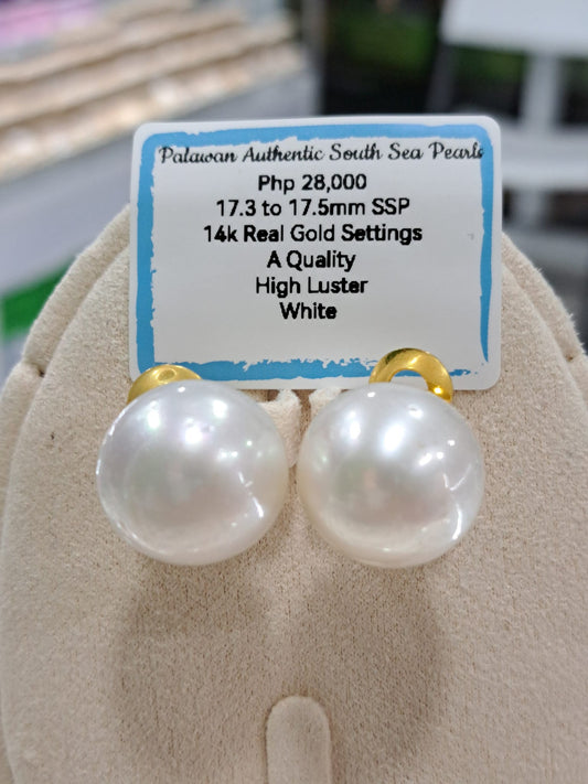 17.5mm White South Sea Pearls Earrings in 14K Gold
