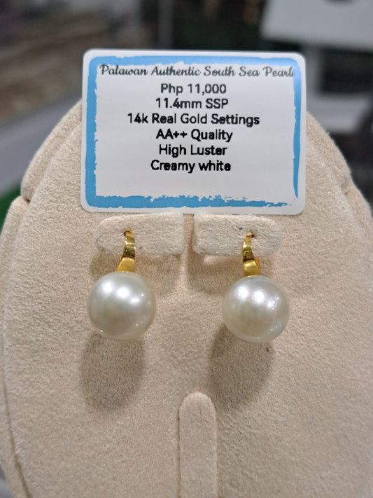 11.4mm Creamy White South Sea Pearls Earrings in 14K Gold