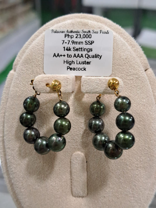 7.9mm Peacock Green South Sea Pearls Earrings in 14K Gold
