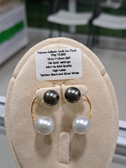11.5mm Tahitian Black & Silver White South Sea Pearls Earrings in 14K Gold