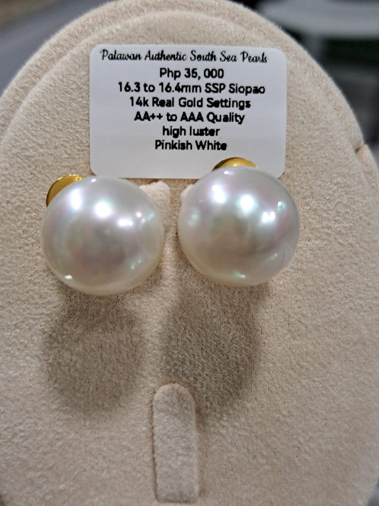 16.4mm Pinkish White South Sea Pearls Earrings in 14K Gold