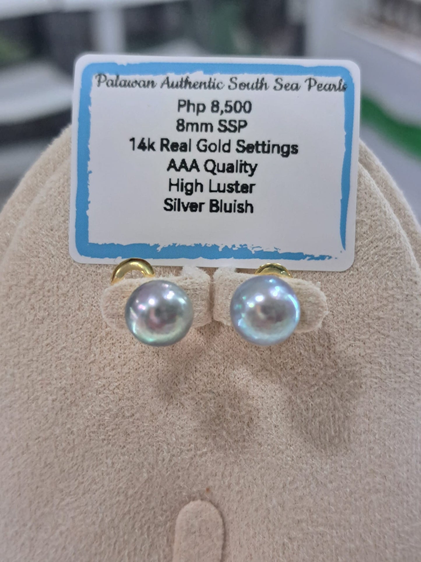 8mm Silver Bluish South Sea Pearls Earrings in 14K Gold
