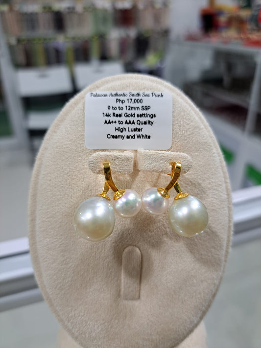 12mm Creamy & White South Sea Pearls Earrings in 14K Gold