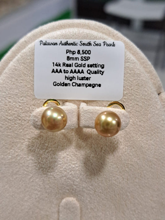 8mm Golden Champagne South Sea Pearls Earrings in 14K Gold