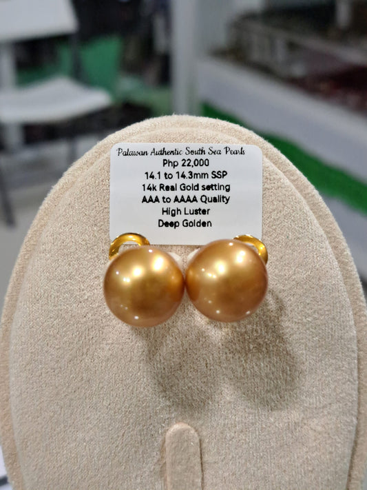 14.3mm Deep Golden South Sea Pearls in 14K Gold