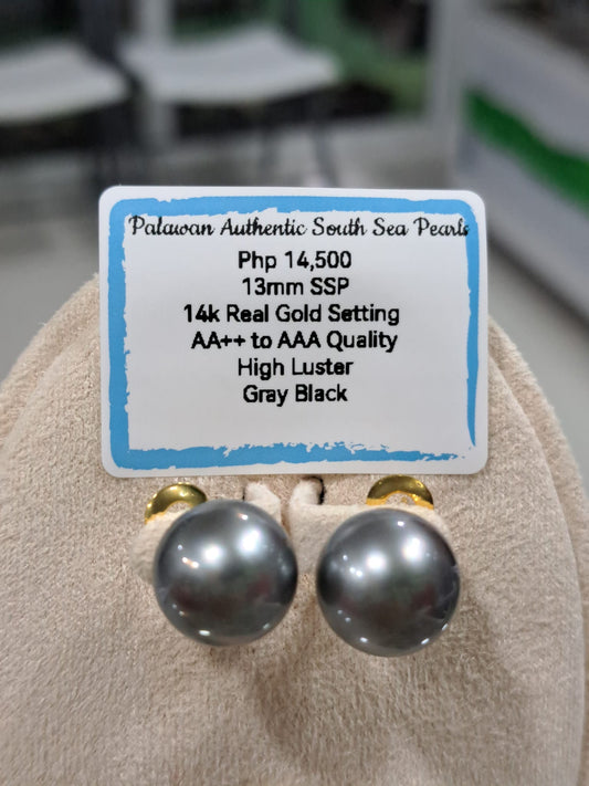 13mm Gray Black South Sea Pearls Earrings in 14K Gold