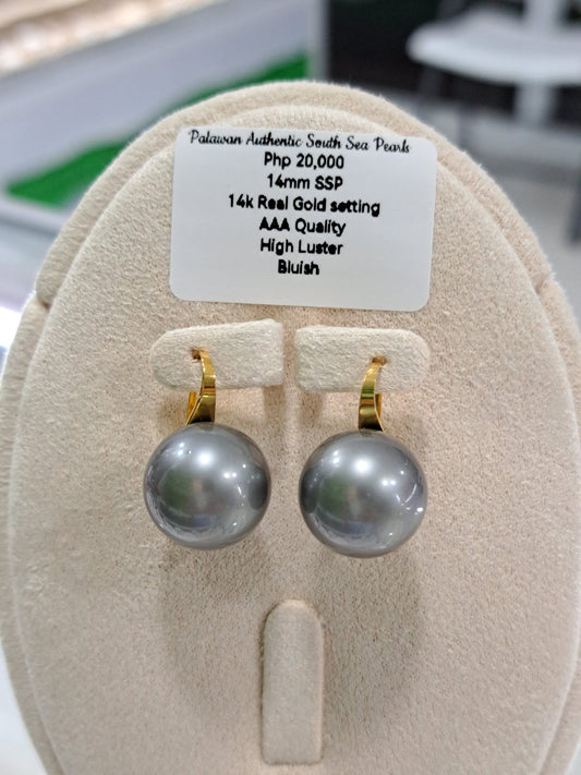 14mm Bluish Gray South Sea Pearls Earrings in 14K Gold