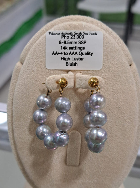 8.5mm Bluish Gray South Sea Pearls Earrings in 14K Gold