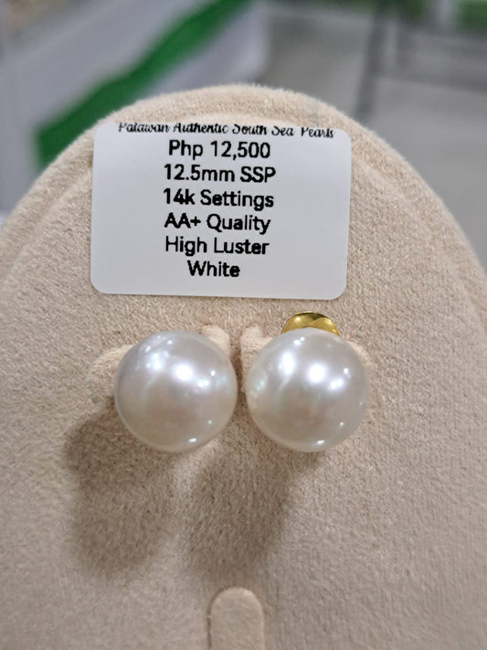 12.5mm White South Sea Pearls Earrings in 14K Gold