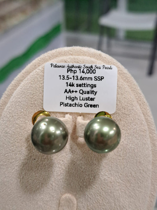 13.6mm Pistachio Green South Sea Pearls Earrings in 14K Gold
