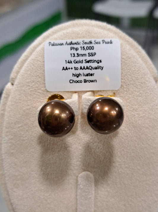 13.3mm Choco Brown South Sea Pearls Earrings in 14K Gold