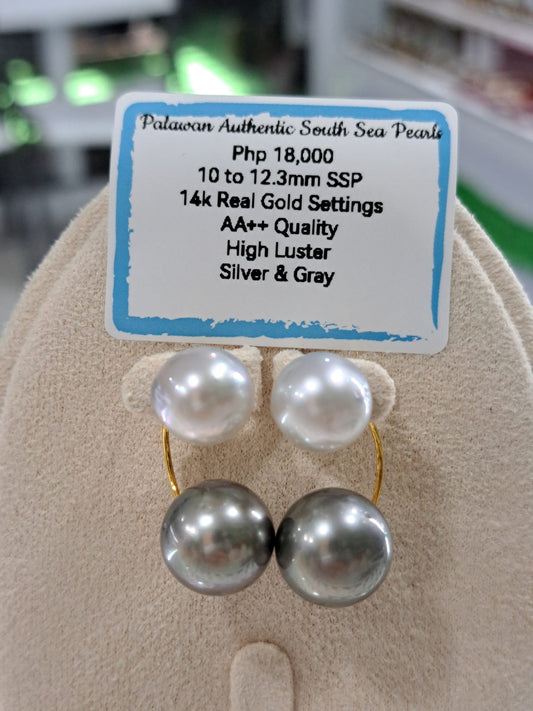 12.3mm Silver & Gray South Sea Pearls Earrings in 14K Gold