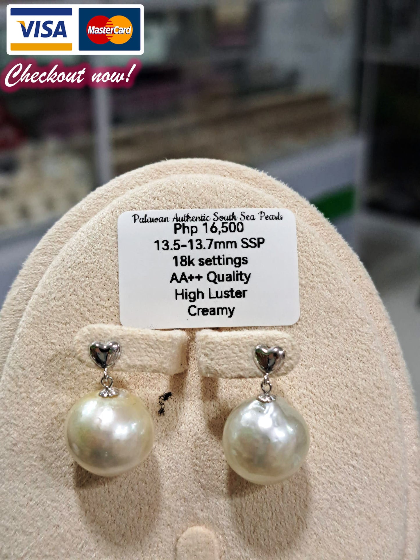 13.5mm to 13.7mm Authentic Creamy Color South Sea Pearls Earrings