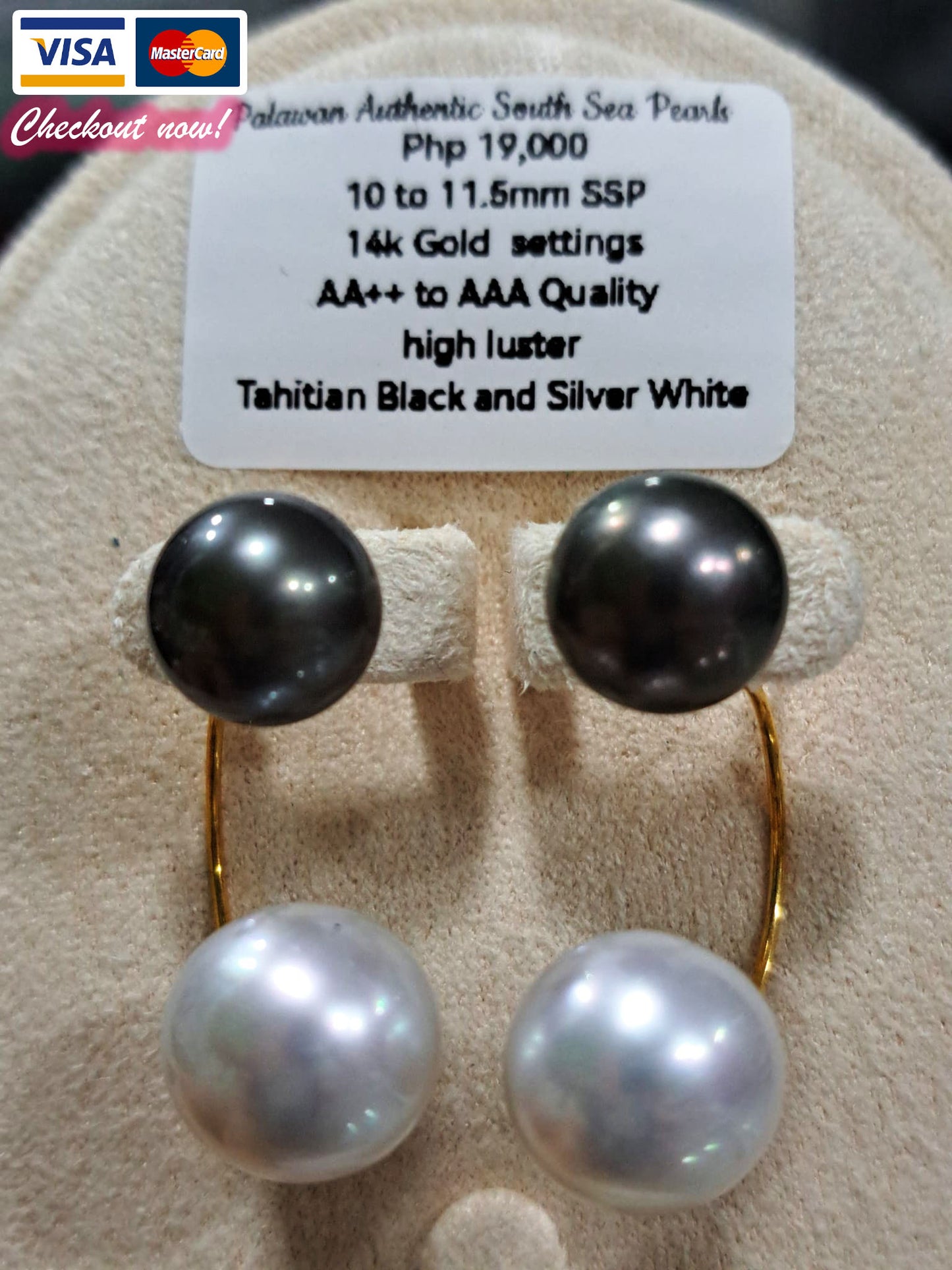 11.5mm Tahitian Black & Silver White South Sea Pearls Earrings in 14K Gold