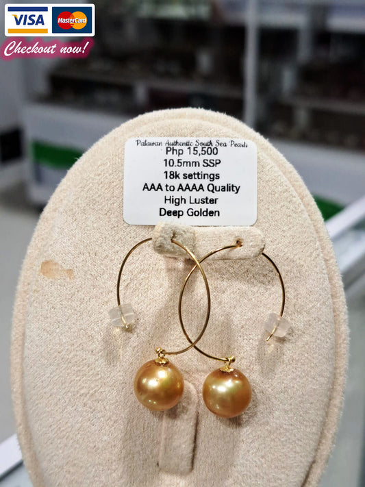 10.5mm Deep Golden South Sea Pearls Earrings in 18K Gold Settings