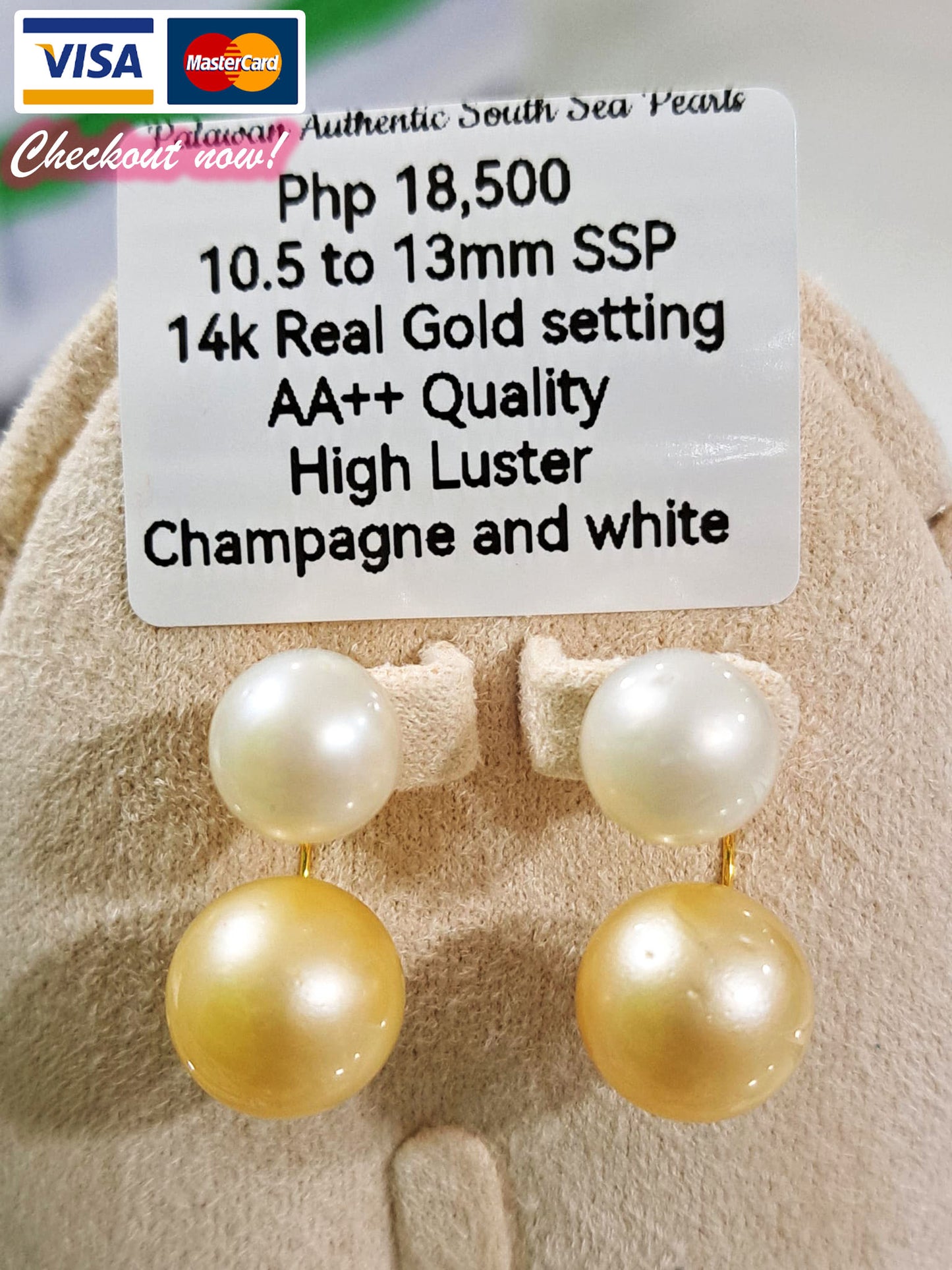 10.5mm to 13mm Authentic Champagne & White South Sea Pearls Earrings