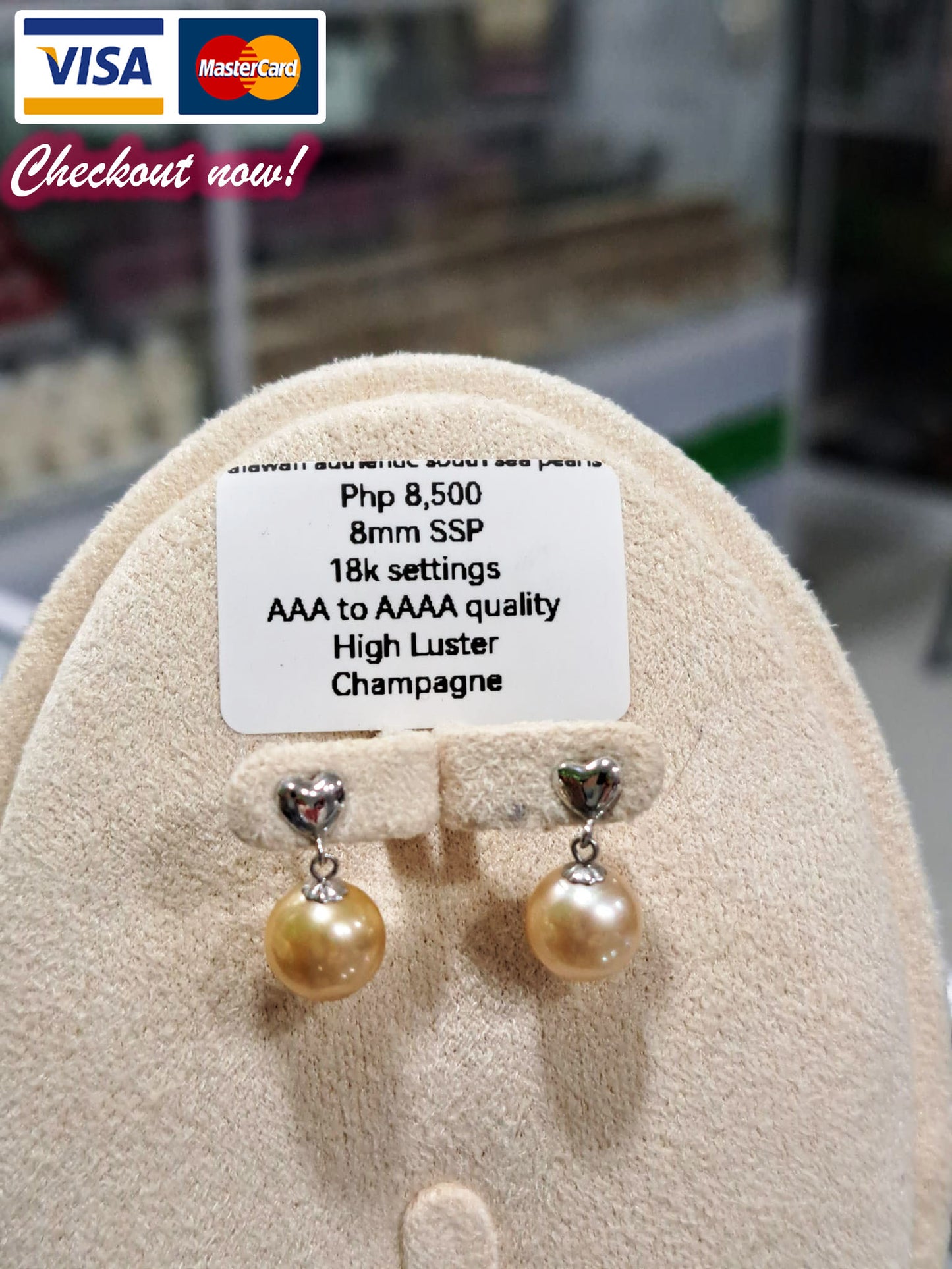 13.5mm to 13.7mm Authentic Creamy South Sea Pearls Earrings