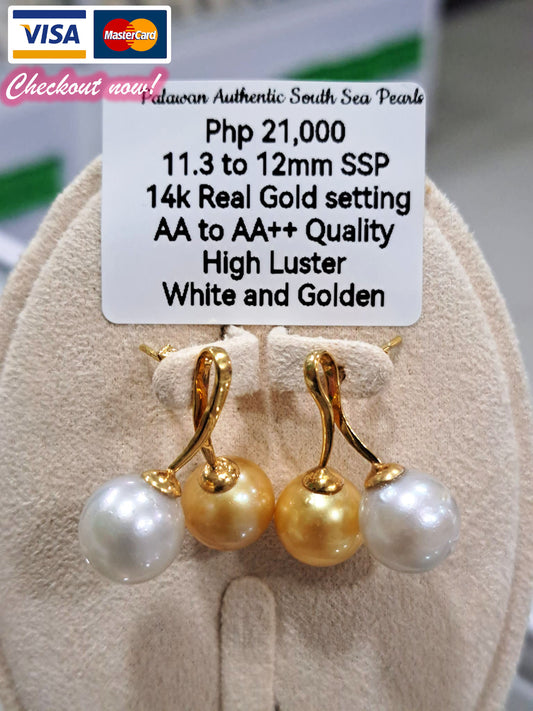 11.3mm to 12mm Authentic White & Golden South Sea Pearls Earrings