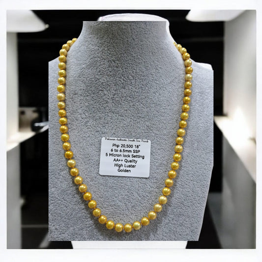 6mm to 6.5mm Authentic Golden South Sea Pearls Choker Necklace in 5 Microns Settings