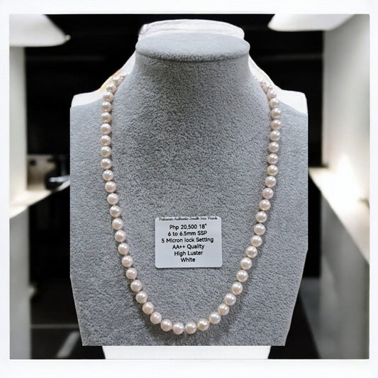 6mm to 6.5mm Authentic White South Sea Pearls Choker Necklace in 5 Microns Settings