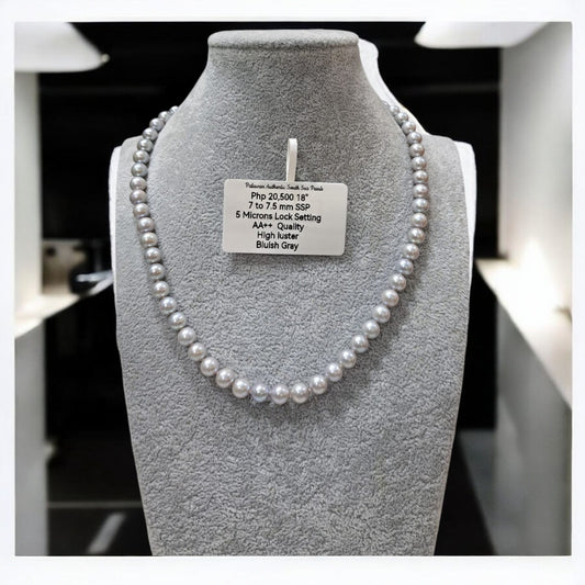 7mm to 7.5mm Authentic Bluish Gray South Sea Pearls Choker Necklace in  5 Microns Settings