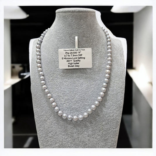 6.7mm to 7.3mm Authentic South Sea Pearls Bluish Gray Choker Necklace in 5 Microns Settings