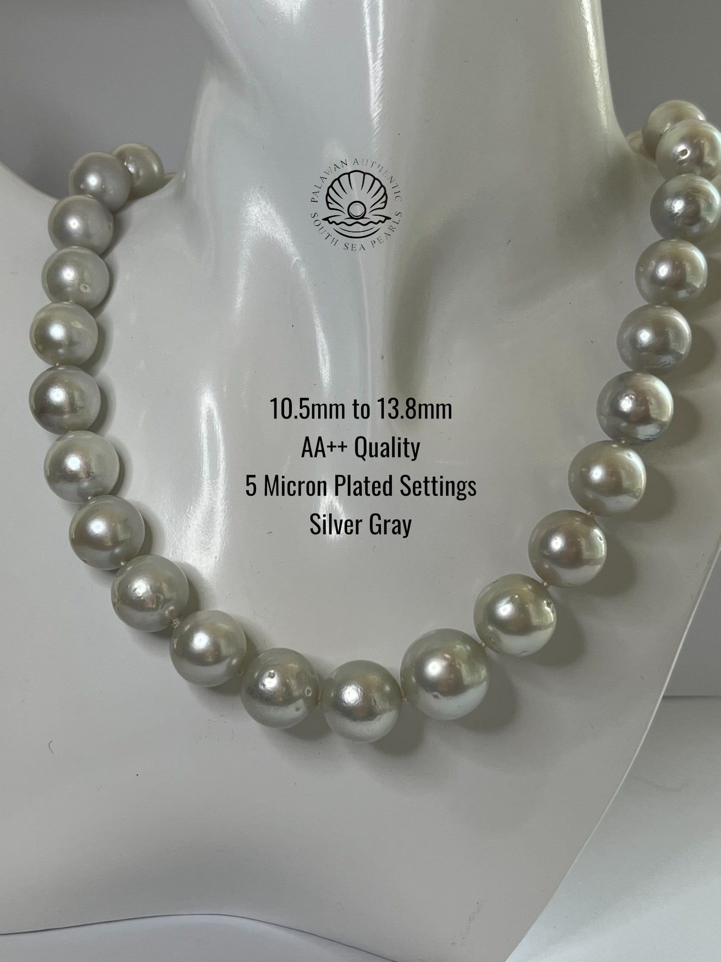 10.5 to 13.8mm Palawan Authentic Silver Gray Color South Sea Pearl Choker in 5 Micron Lock Settings