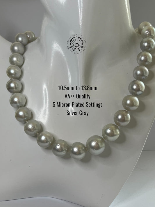 10.5 to 13.8mm Palawan Authentic Silver Gray Color South Sea Pearl Choker in 5 Micron Lock Settings