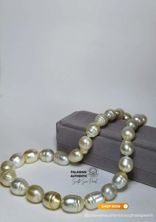 12.3 to 14.8mm Palawan Authentic Multicolor South Sea Pearl Choker in 5 Micron Lock Settings