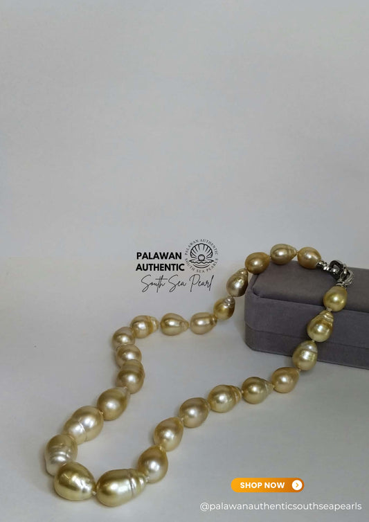 12 to 14.9mm Palawan Authentic Champagne Color South Sea Pearl Choker in 5 Micron Lock Settings