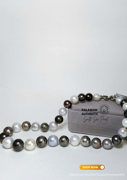 12 to 14.9mm Palawan Authentic Multicolor South Sea Pearl Choker in 5 Micron Lock Settings