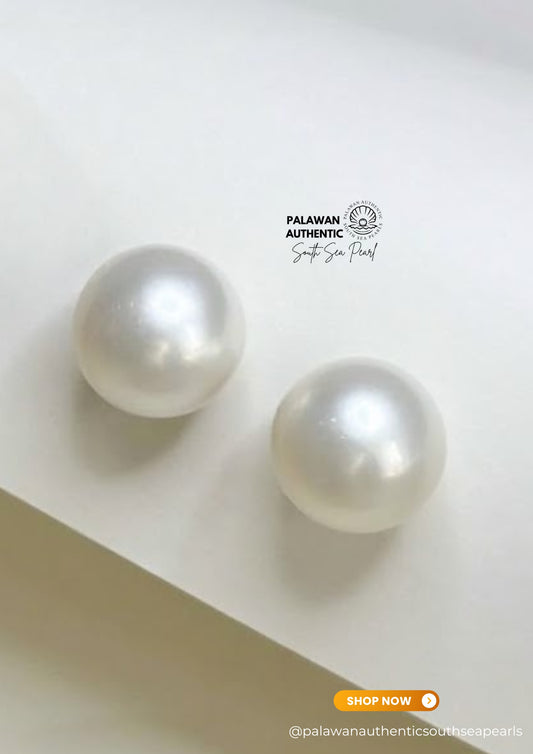 13.5 to 13.7mm Palawan Authentic Milky White Color South Sea Pearl Earrings in 14k Real Gold Settings