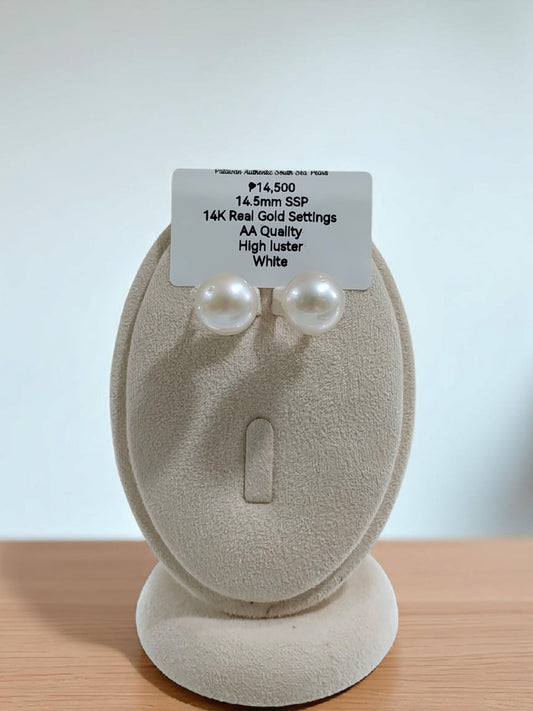 New Arrival! 14.5mm Authentic White South Sea Pearls Earrings in 14K Gold Settings