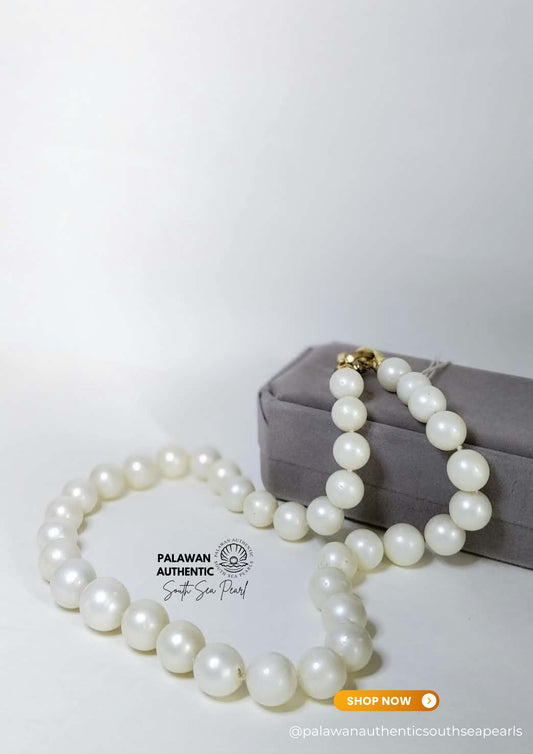 10.5 to 13.4mm Palawan Authentic Milky White Color South Sea Pearl Choker in 5 Micron Lock Settings
