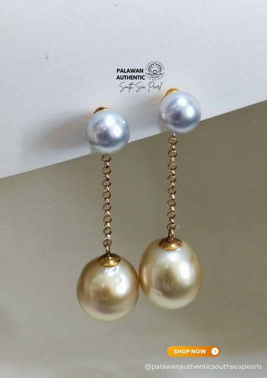 8mm to 13.5mm Palawan Authentic Champagne and Bluish Gray Color South Sea Pearl Earrings in 14k and 18k Real Gold Settings
