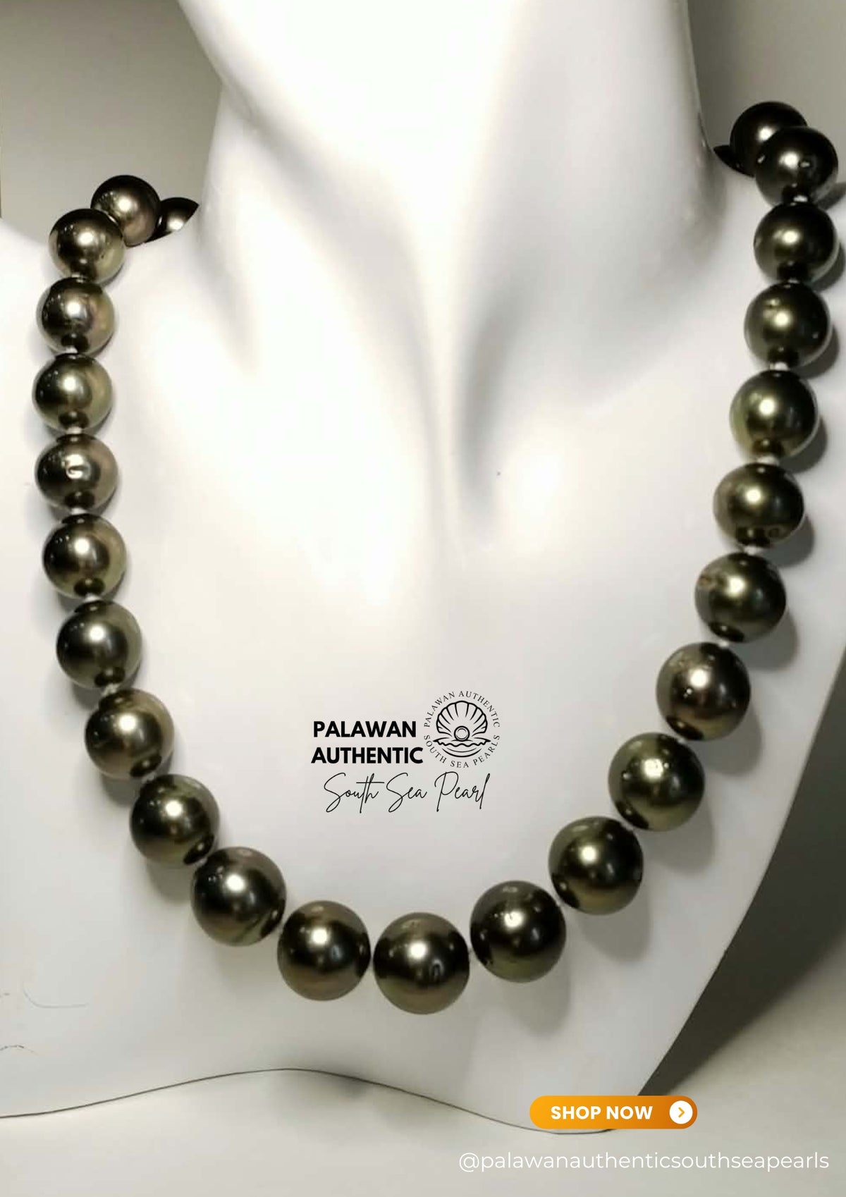 11.6 to 14.1mm Palawan Authentic Dark Green South Sea Pearl Choker in 5  Micron Lock Setting.