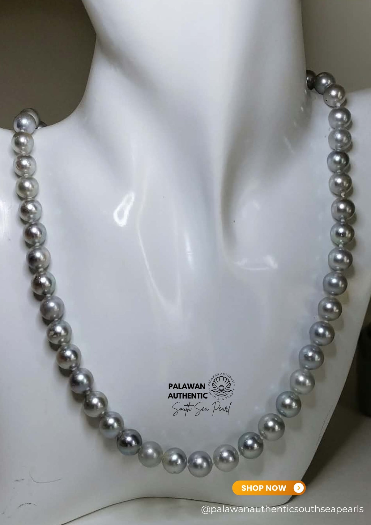 7.9mm to 9.1mm Palawan Authentic  Silver Bluish Color South Sea Pearl Choker in 5 Micron Lock Settings