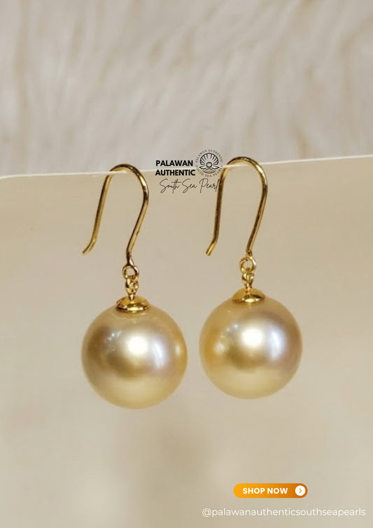 13.8 to 13.9mm Palawan Authentic Champagne  Color South Sea Pearl Earrings in 14k Real Gold Settings