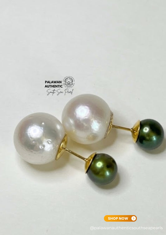 8 to 13mm Palawan Authentic White and Peacock Green Color South Sea Pearl Earrings in 14k Real Gold Settings