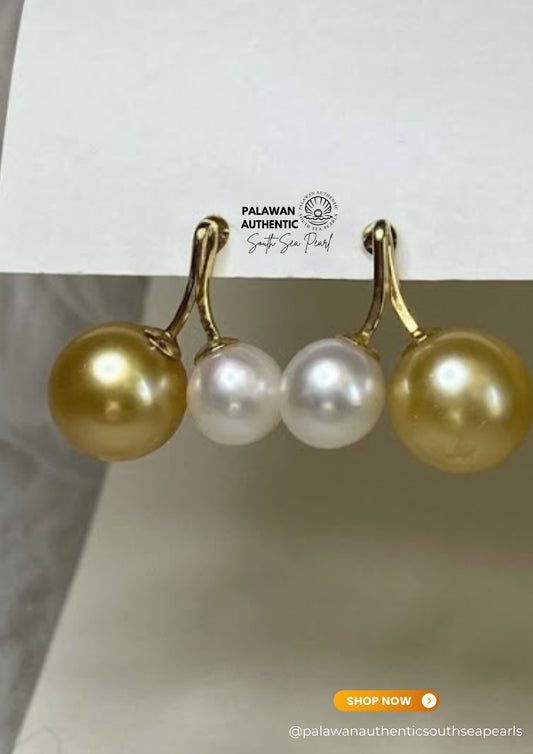 8.6 to 12mm Palawan Authentic White and Champagne Color South Sea Pearl Earrings in 14k Real Gold Settings
