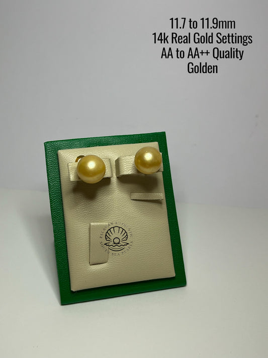 11.7 to 11.9mm Palawan Authentic Golden Color South Sea Pearl Earrings in 14k Real Gold Settings