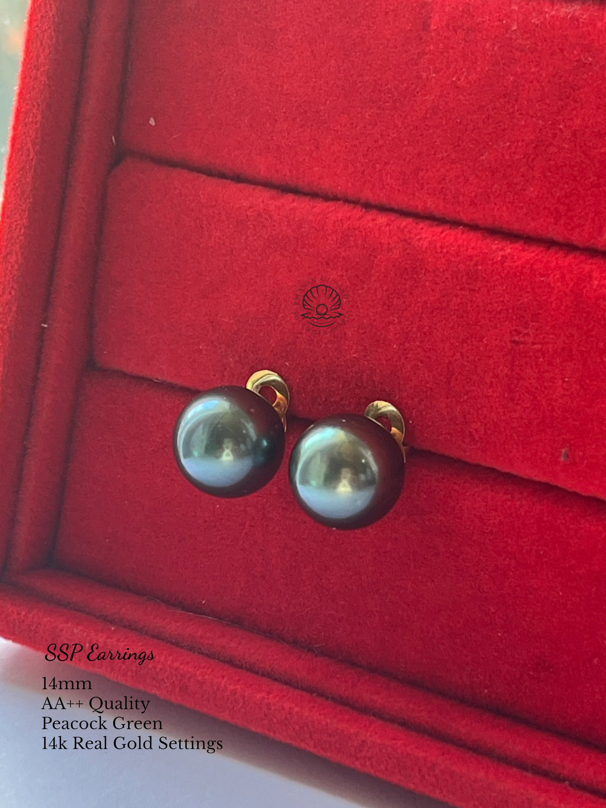 14mm Palawan Authentic Peacock Green Color South Sea Pearl Earrings in 14k Real Gold Settings