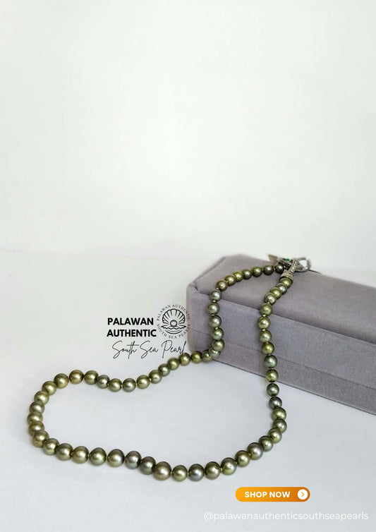 5.8 to 6.6mm Palawan Authentic Pistachio Green Color South Sea Pearl Choker in 5 Micron Lock Settings