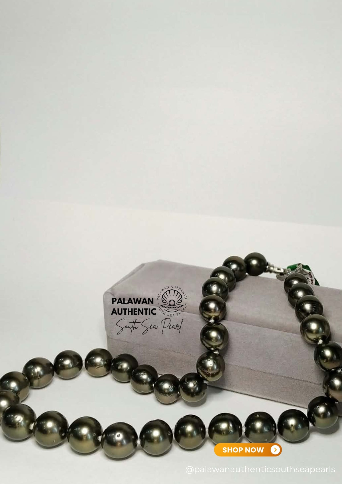 11.6 to 14.1mm Palawan Authentic Dark Green South Sea Pearl Choker in 5  Micron Lock Setting.