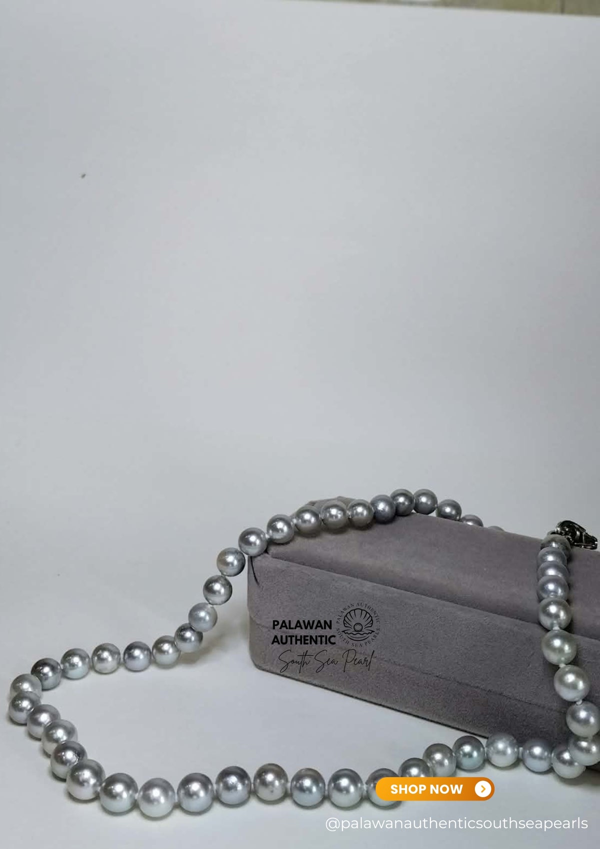 7.9mm to 9.1mm Palawan Authentic  Silver Bluish Color South Sea Pearl Choker in 5 Micron Lock Settings