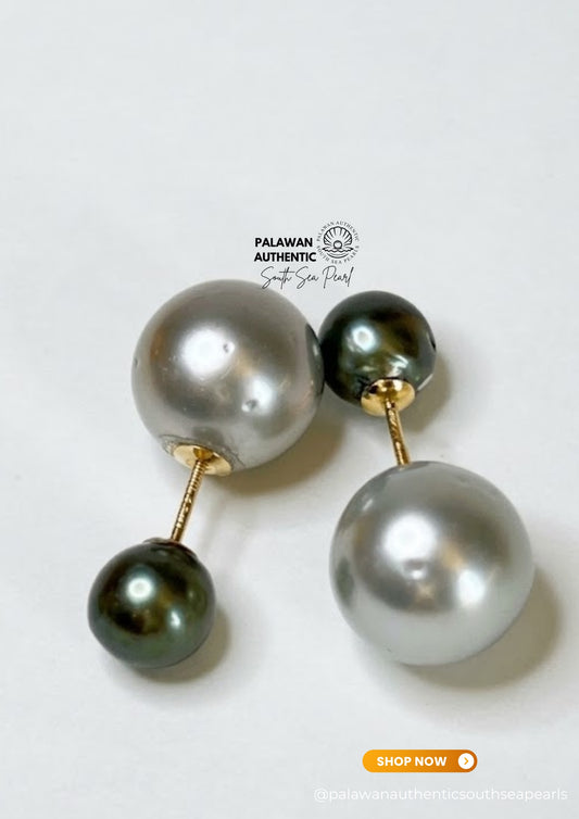 7.8 to 12.5mm Palawan Authentic Metallic Gray and Peacock Green Color South Sea Pearl Earrings in 14k Real Gold Settings
