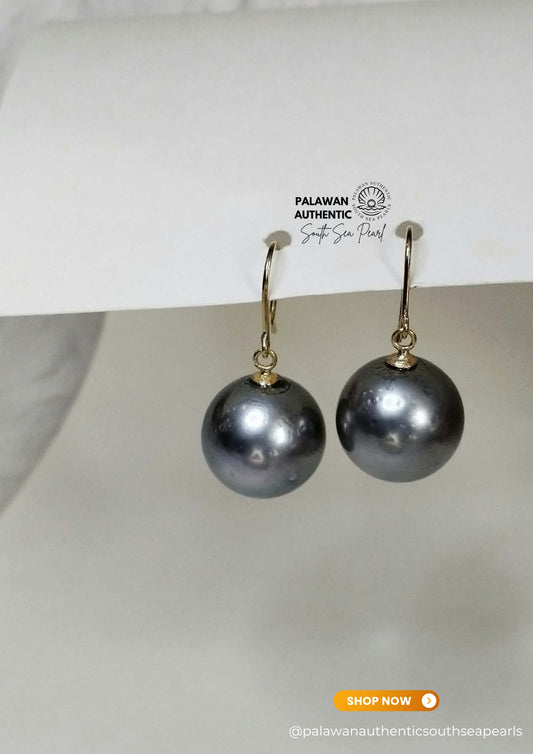 14mm Palawan Authentic Platinum Gray Color South Sea Pearl Earrings in 14k Real Gold Settings