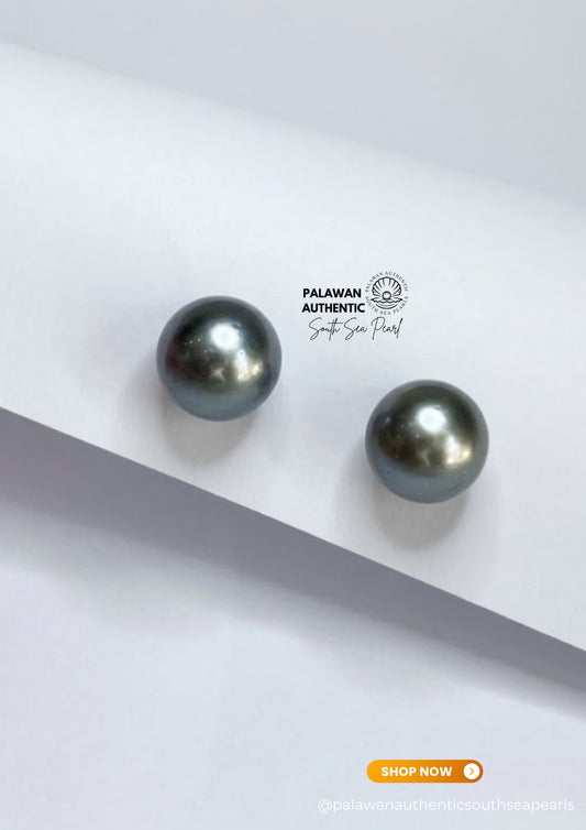 13.3 to 13.7mm Palawan Authentic Platinum Gray Color South Sea Pearl Earrings in 14k Real Gold Settings